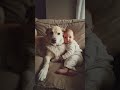 Baby’s Best Friend: Pure Love Between a Baby and Dog #BabyAndDog #WholesomeMoments #RealFootage