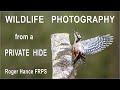 Wildlife Photography from a Private Hide