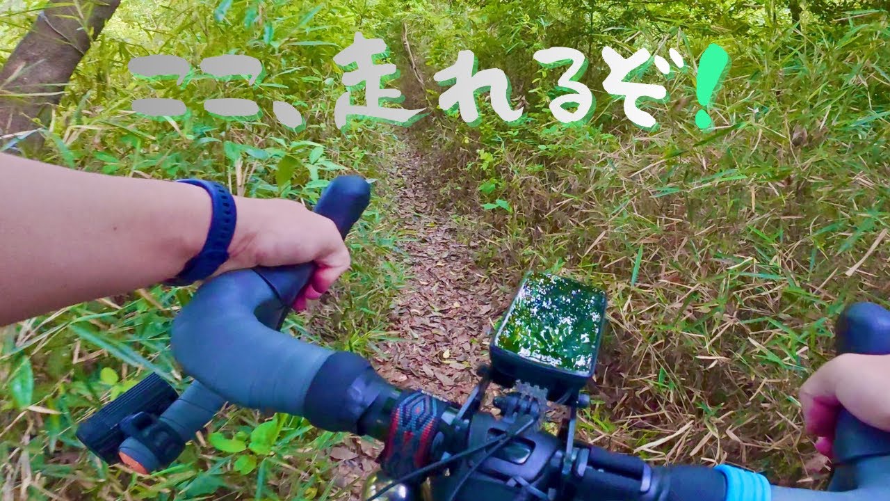 【中古】 山が、消える Good News] Report on the situation of fallen trees on the trail in