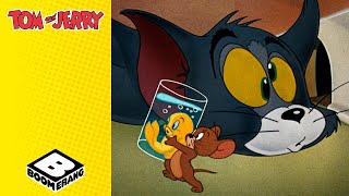 Fishy Business | Tom & Jerry | @BoomerangUK