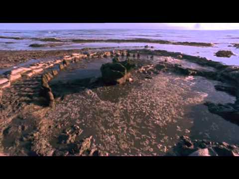 Time Team Digs   01   The Bronze Age (2002)