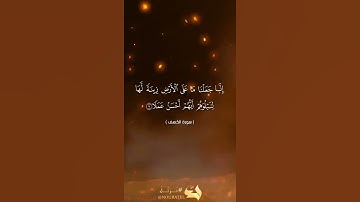 تلاوة هادئة من سورة الكهف# القرآن الكريم #احمد ابو صهيب