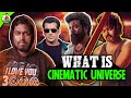Cinematic universe    history of indian cinematic universe  leo thalapathy mrkk