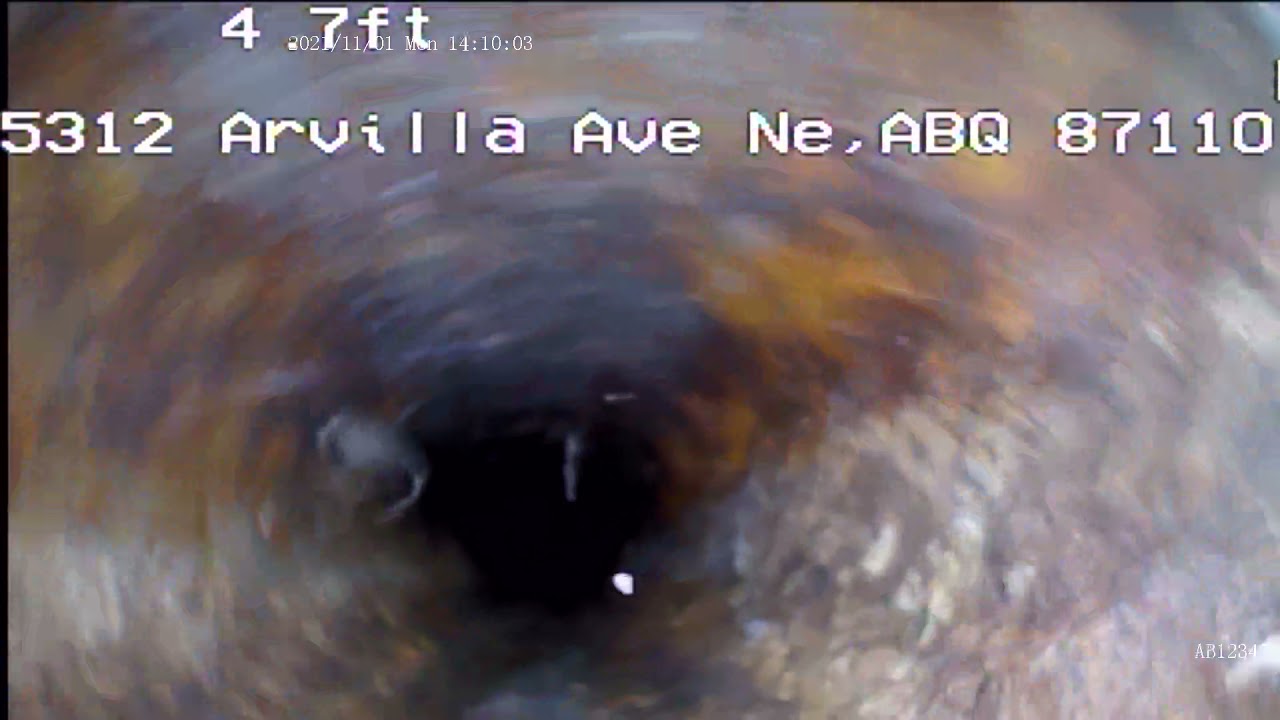 20211101 ortegel clean out to under the home