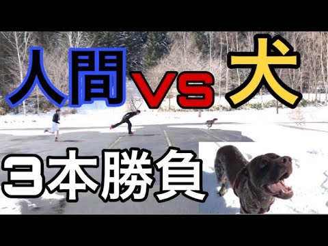 【早食い対決】人間と犬のガチバトル！３本勝負！