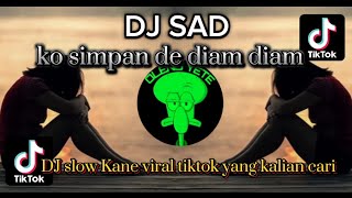 DJ SAD KANE KO SIMPAN DE DIAM DIAM