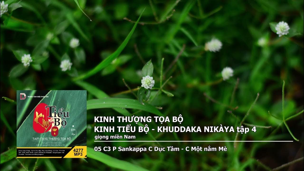 Tập 4 – 05 C3 P Sankappa C Dục Tầm – C Một nắm Mè giọng miền Nam 