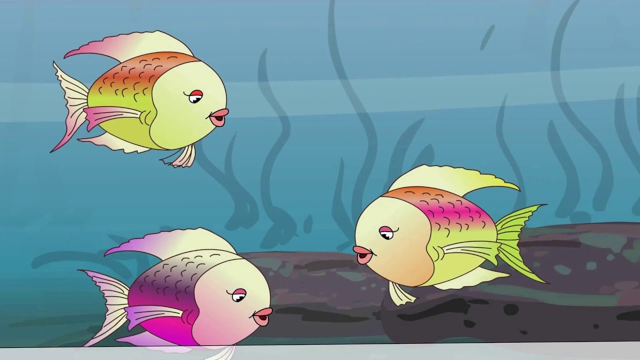 Three Little Fish | Nursery Rhyme For Children | California Kids - YouTube