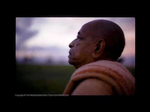 Video: Srila Prabhupada: Biografie, Creativiteit, Carrière, Persoonlijk Leven