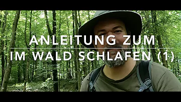 Wo kann ich im Wald schlafen?