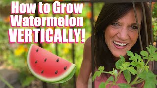 How to Grow LOTS of Watermelon - Vertically on a Trellis - in Garden Beds & Containers! 🍉🌱