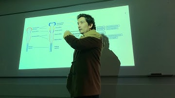 6. P1C6 Neuro Parte 1 (04.09)