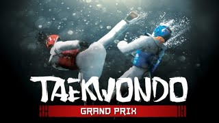 I PLAYED TAEKWONDO GRAND PRIX screenshot 5