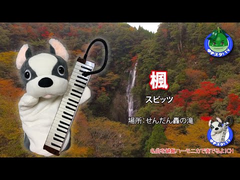 「楓」スピッツ ～鍵盤ハーモニカでCOVRE