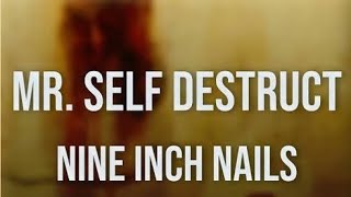 Nine Inch Nails Mr Self Destruct Live PEEL IT BACK TOUR Detroit Michigan 08 22 2025 Trent Reznor NIN