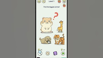 BRAIN OUT 2 LEVEL 1