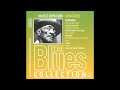 Mance lipscomb    songster the blues collection full album