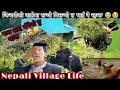 💥Nepali Village &amp; Rural Life😢😪बिरामी भएर बाल्ला उठेँ र यस्तो काम सुरु😭@villageboysunil