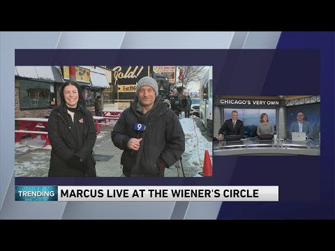 Countdown to free hot dogs at The Wiener's Circle