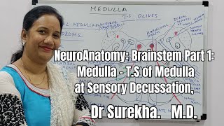 Anatomy Lectures Neuroanatomy: T.S. of Medulla At Sensory Decussation