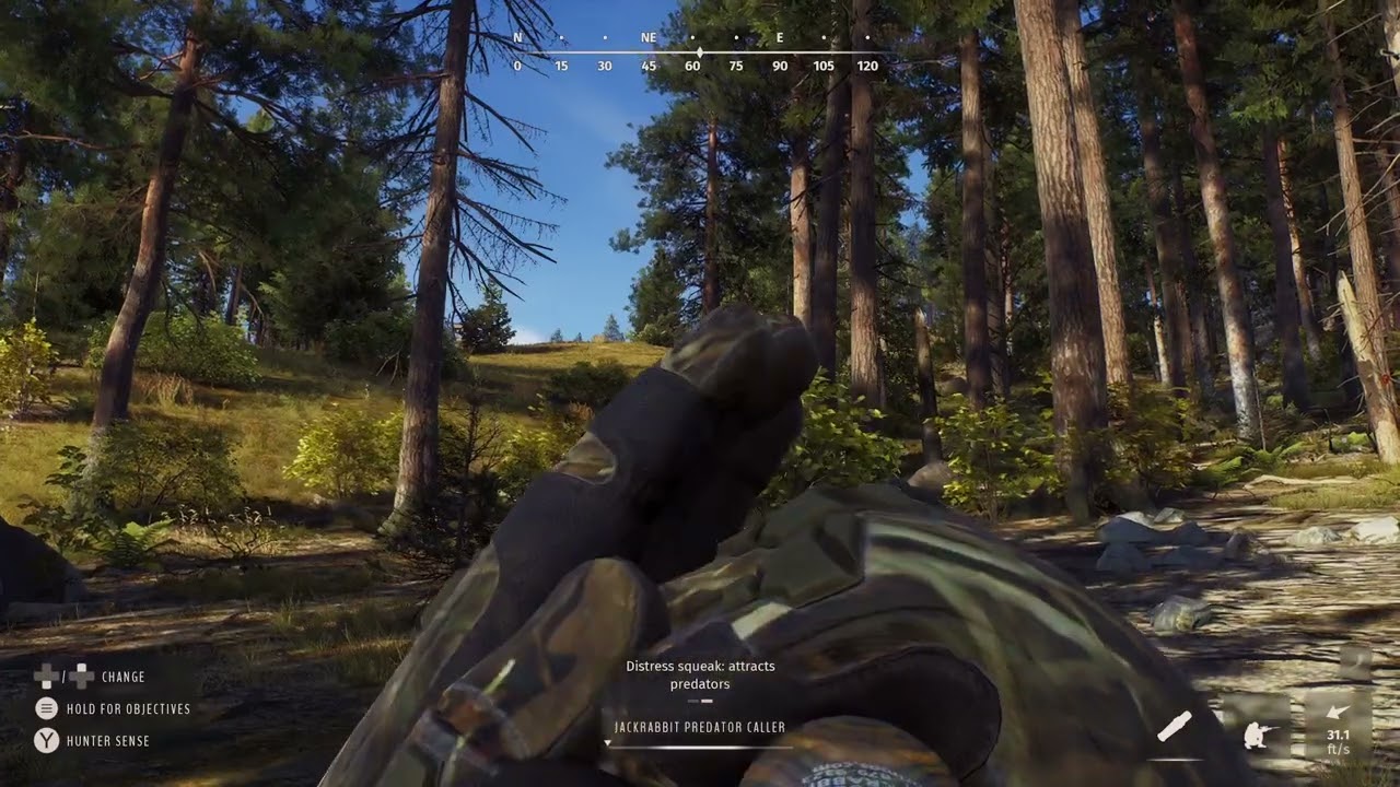 Culled in two Red Fox - Crossbow Hunt - Way of the Hunter 