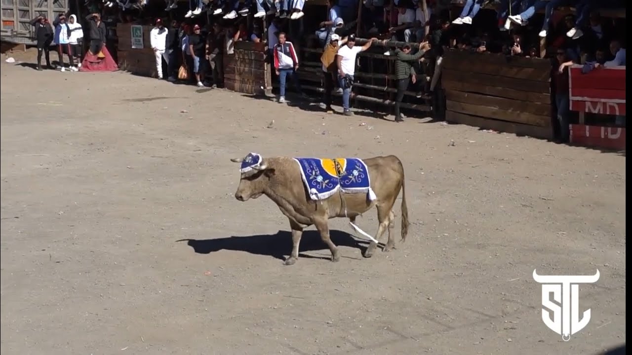 Segunda Tarde Taurina - Guasuntos 2025 