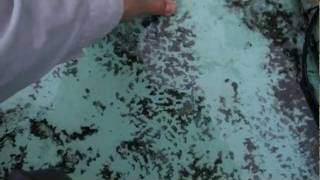 20110627台中北屯好房子現勘及漏水防制-綠適居現勘20110721edited.mpg