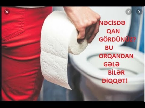 Video: Ferretsdə Nəcisdə Qəbizlik Və Qan