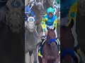 American Pharoah vs. Aristides in the #KentuckyDerby Greatest Moments Bracket! 🏇🏽  #MarchMadness