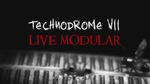 Technodrome VII: Live Modular in Basement