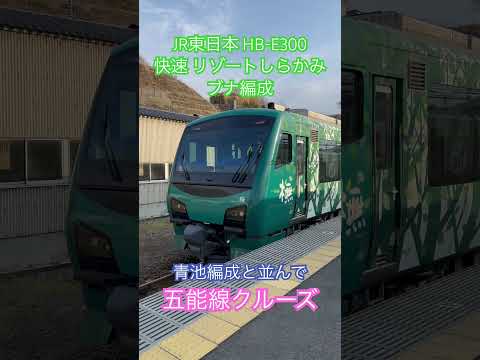 車窓 風景 JR東日本 五能線 快速 リゾートしらかみ 橅 ブナ 編成 クルーズ 青森 ー 秋田　HB-E300 槇原敬之　林檎の花 大人の休日倶楽部 my first aomori