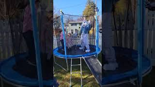 Easter Bunny wants a carrot on the trampoline 🤣