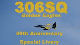 第306飛行隊 ゴールデンイーグル40周年記念塗装