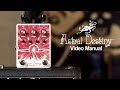 Astral Destiny Video Manual | EarthQuaker Devices