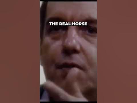 Uncovering the Insane Story Behind the Horse Head Scene in The