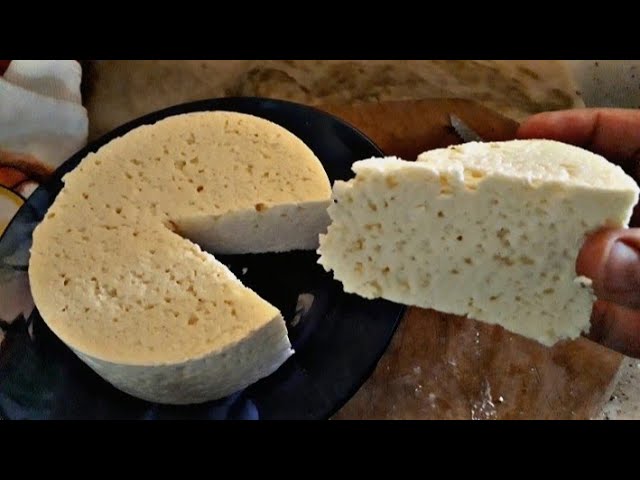 Queijo com furinhos faz mal? Saiba o que são e como identificar