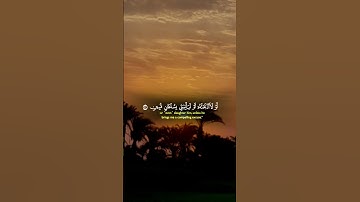 القران الكريم تلاوه جميل سورة النمل 😭😱 #اكسبلور