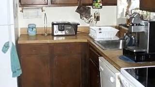 99 Glenmere Way video tour