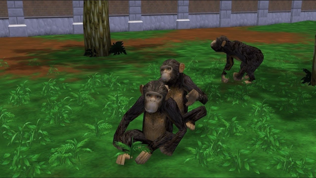 Zoo Tycoon 2 Campaign - Prevent Animal Abuse - Combatting Cruelty