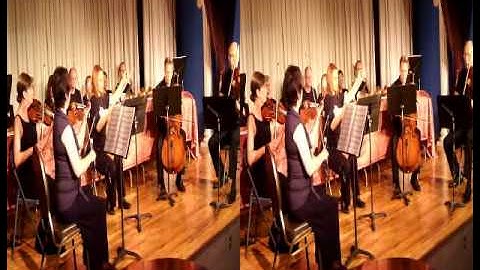 Air on the G String - musical saw & strings.AVI