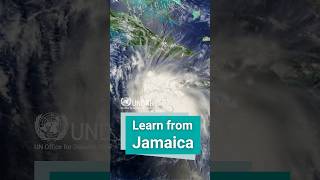 How Jamaica prepared for its most powerful hurricane | UNDRR