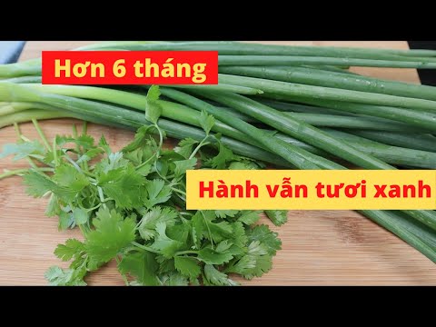 Video: 3 cách viết thư mục ở định dạng APA