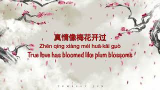 一剪梅 Yi Jian Mei [费玉清 Fei Yu-Ching/ Fei Yu Qing] - Chinese, Pinyin \u0026 English Translation