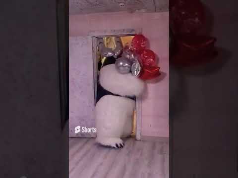 Белый медведь застрял в дверях прямо на поздравлении 🥳🤣 #белыймишка #умка #shorts