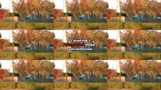 Trey Willard throwaway skateboarding.