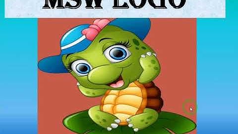 MSW LOGO # Programming #FunWithLogo #ComputerKnowledge