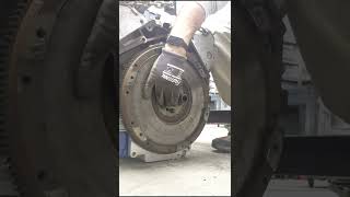 How to install a pilot bearing in ls 5.3#lsswap #diy #automobile #manualtransmission