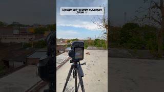 tamron maximum zoom lens lens for photography ☠️ #birds #photography #tamronlens #tamronusa