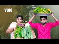 Vlog || ORGANIC VEGETABLE || GARDEN TOUR || మేము వేసిన మొక్కలు వాటికి కాసిన కాయగూరలు || Garden Tour