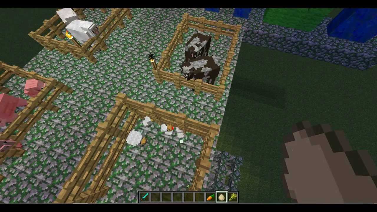 Comment faire reproduire des animaux dans minecraft ? - YouTube